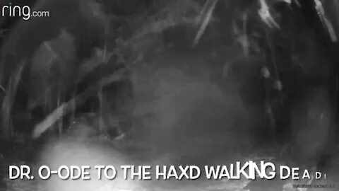 Dr. O: My Ode To The HAXD Walking Dead Zombies