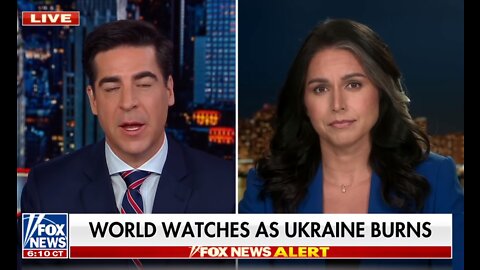 Tulsi Gabbard: US leaders have an ‘F-you’ attitude - BREAKING FOX NEWS Ukraine Russia war