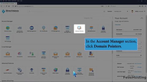How to remove the alias domain in DirectAdmin FelizHosting