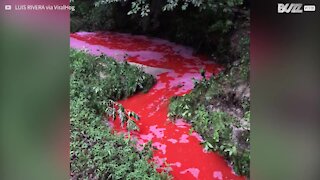 USA: l'inquinamento rende rosso il fiume