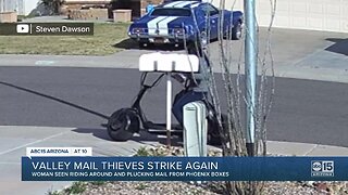 Valley mail thieves strike again
