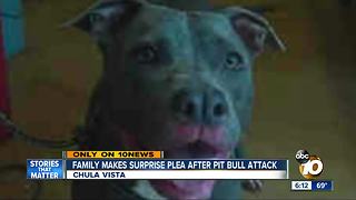 Chula Vista family makes surprise plea after pit bull attack