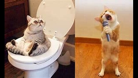 Trending Funny Animals 😅 Funniest Cats and Dogs 😻🐶 Part 12