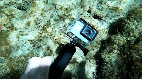 Scuba diver finds someone's functioning GoPro in Mexico