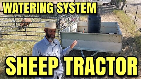 SIMPLE WATERING SYSTEM ~ SHEEP TRACTOR UPDATE!