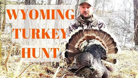 Wyoming Turkey Hunt