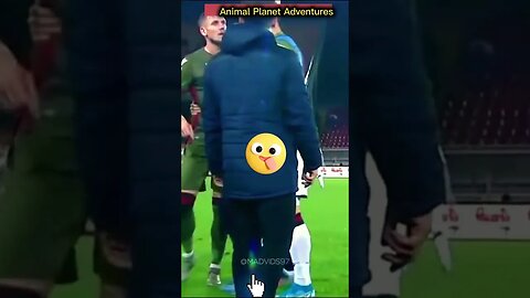 Crazy Football Fights & Angry Moments2021