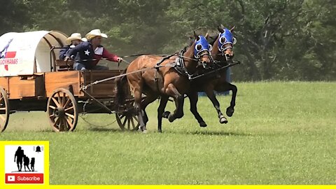 Classic Wagon Race - The 1836 Chuckwagon Races 2022