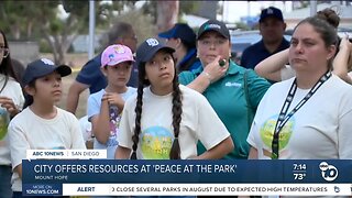 'Peace at the Park' meets at Mount Hope neighborhood, reduces crime