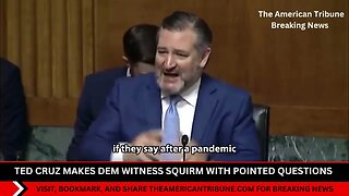 Ted Cruz Makes Dem Witness Squirm After Launching Unfair Accusation About Texas