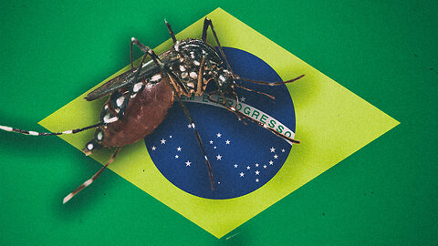 Bill Gate's GMO Mosquitos Wreak Havoc In Brazil