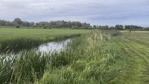 Wonderful Dutch Nature