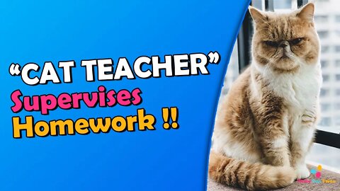 Cat Teacher Supervises Homework