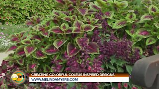 Melinda's Garden Moment - Creating colorful coleus inspired designs