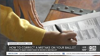 How to correct a mistake on your ballot