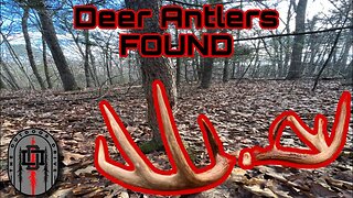 Deer Sheds Found of Target Buck #shedhunting #antlers #deer
