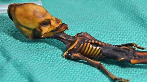 Atacama Desert's Mummified Skeleton