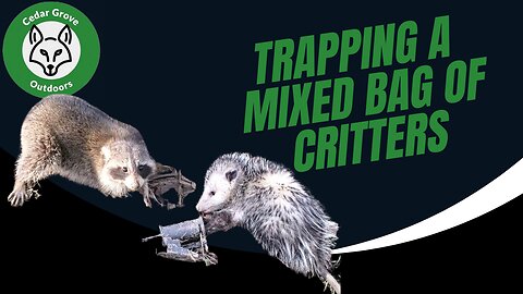 S.2 E.12 Trapping a Mixed Bag of Critters