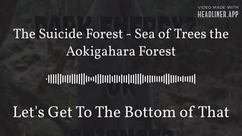 The Suicide Forest | Dark Energy or Something Else?