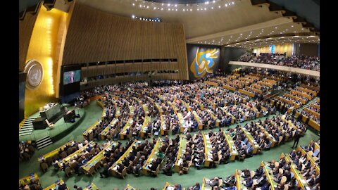 Ramaphosa and the Grifters | Race Hustling at the UN