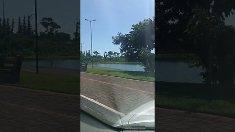 Lago e sol inscreva-se no canal
