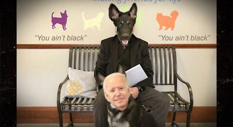 HIGHLIGHTS - Biden’s Dog Takes Over Media Again