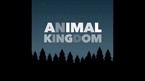 Lifespans of the animal kingdom [GMG Originals]
