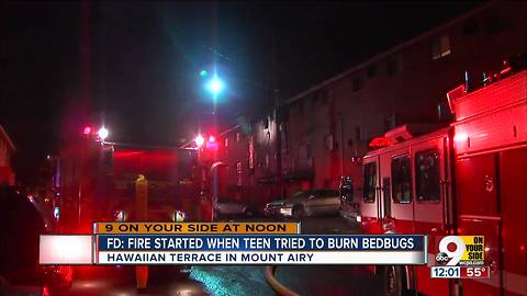 FD: Apartment fire started when teen tried to burn bedbugs