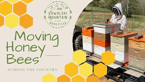 Moving Honey Bees Cross Country | How to Move Honey Bees Long Distance