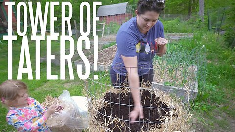 Grow A Years Worth Of Potatoes In 4 Square Feet