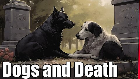 The Origins of why Dogs are linked to our Deaths
