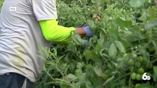 Local organization collecting donations to support Idaho farmworkers amid extreme heat