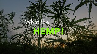 What the Hemp?