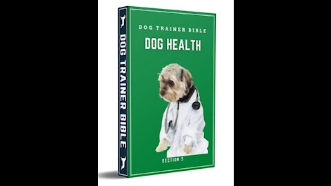 how to keep your dog healthy