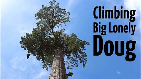 Climbing 'Big Lonely Doug' | Canada's 2nd largest Douglas Fir
