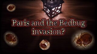 Paris and the Bedbug invasion?