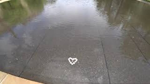 Oklahoma City Memorial Strange Coin Formation in Pool