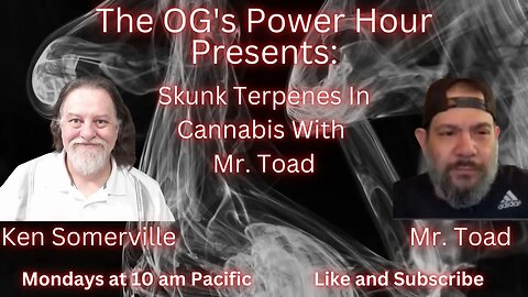 Skunk Terpene In Cannabis With Mr. Toad