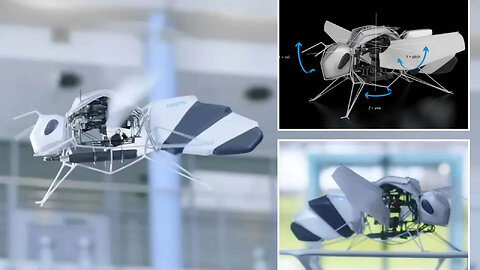 Where Did the First Idea for Festo BionicBee Come From? | Robotic Bees