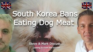 South Korea Bans Eating Dog Meat