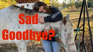 Does This Horse Have To Go? | Horse Training And Breaking A Bad Habit