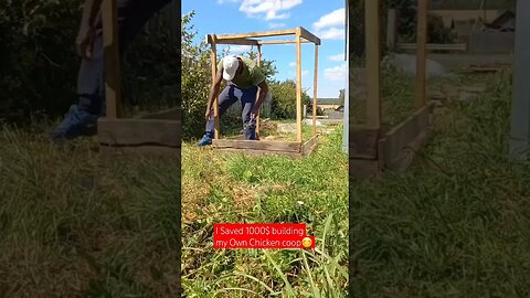 I Saved 1000$ Building my Own Chicken Coop with free Woods😃|#shorts #short #shortvideo #shortsvideo