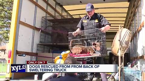 17 dogs taken to Downriver shelters after being found in the back of a truck