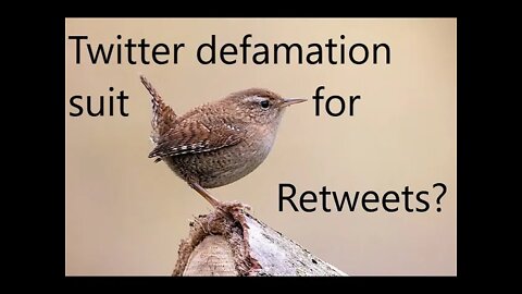 Twitter Defamation Suit SLAPP'ED down