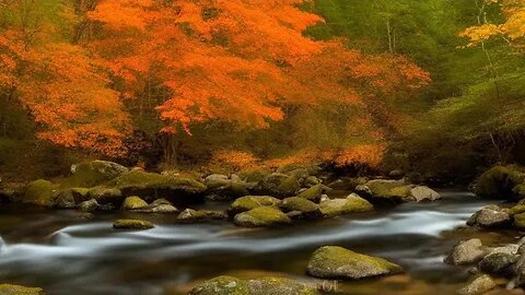 "Autumn Forest River Sounds: Nature's Lullaby for Deep Sleep"