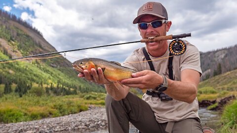 Fly Fishing Remote Mountain Stream for Mystery Trout