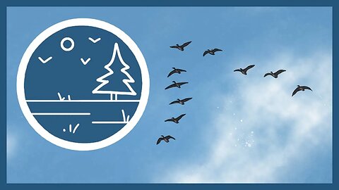 Spring Birdsong - Canadian Geese, Mourning Doves, and more! 𓅩 ₓ˚. ୭ | MOSSFROG SOUNDSCAPE