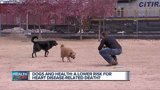 Dogs and health: A lower risk for heart disease-related death?