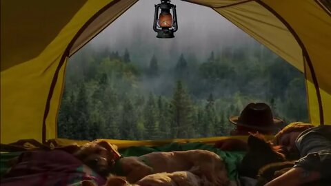 camping In a Tent On A Rainy Night In Foggy Forest