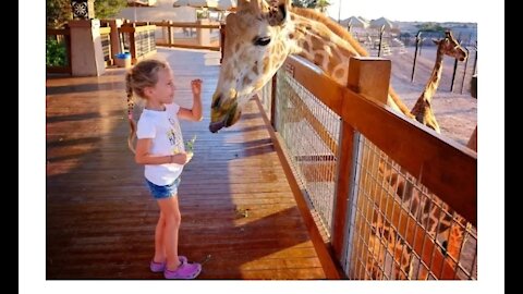 KIDS FUN IN THE ZOO AND LITTLE KIDS ARE AMUSED AND EXCITED AND ENJOY A LOT